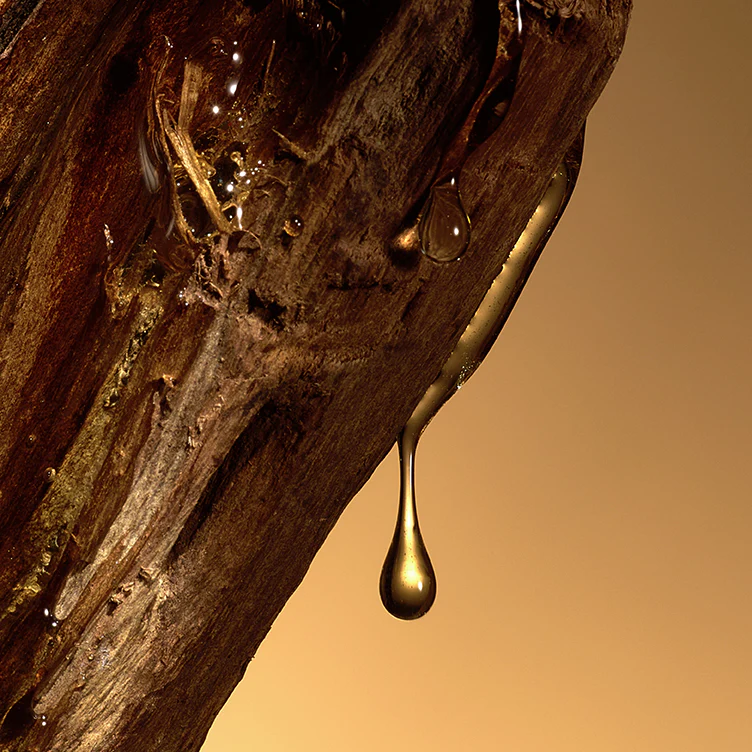 Celest - Eau de Parfum - Image 4