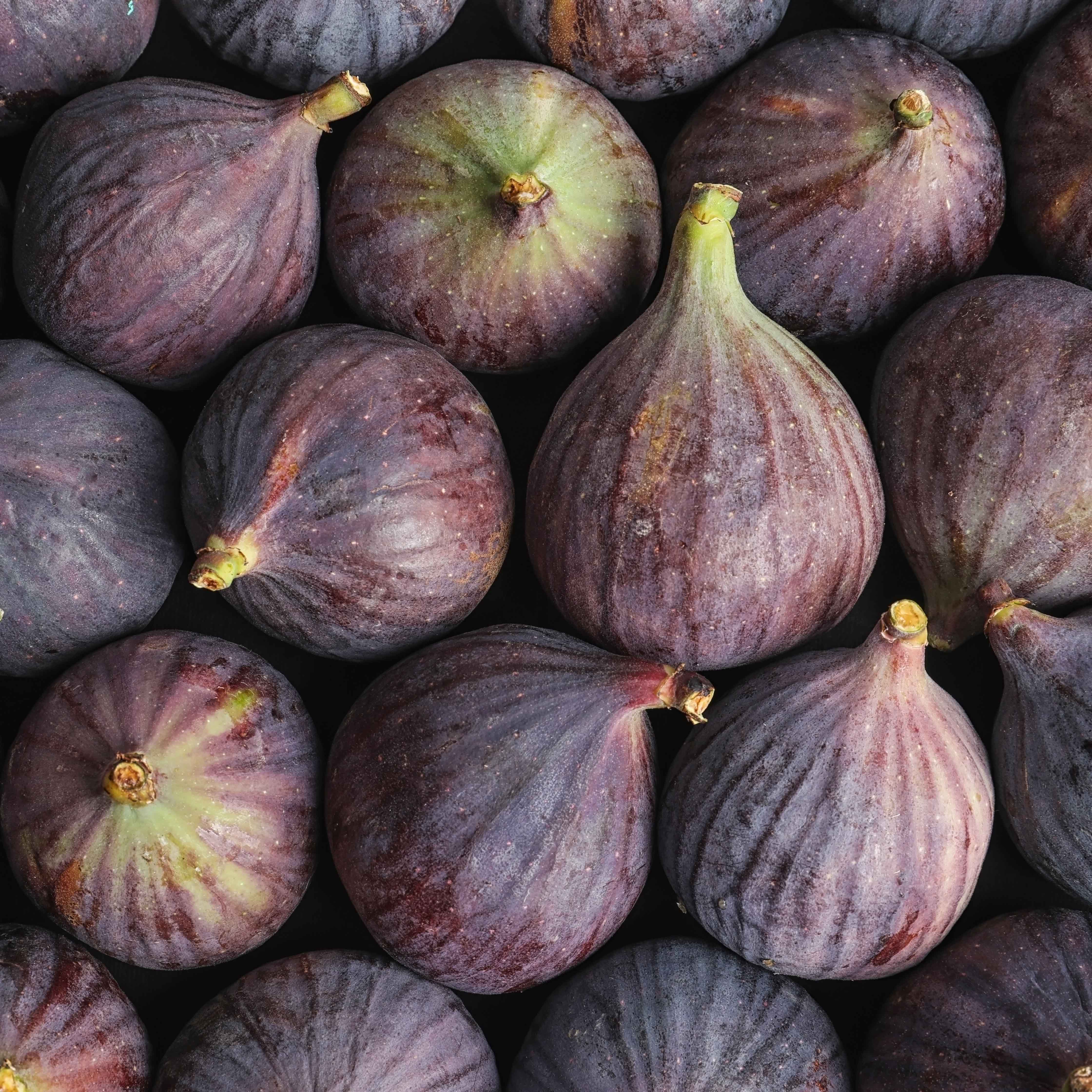 Mulberry Fig - Eau de Parfum - Image 4