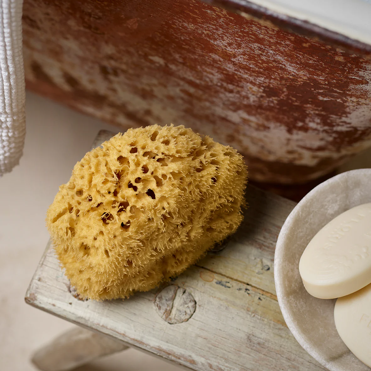 Natural Sea Sponge - Image 2